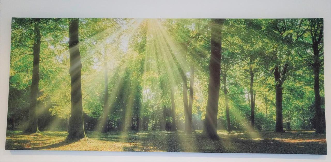 Ferienwohnungen Im Dorfe ゾルタウ エクステリア 写真